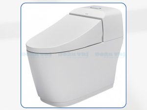 Bàn Cầu 1 Khối INAX AC-1032VN