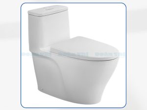 Bàn Cầu 1 Khối INAX AC-989VN